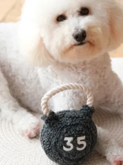 Jouet pour chien - Kettlebell 🏋️‍♀️ - Lambwolf Collective