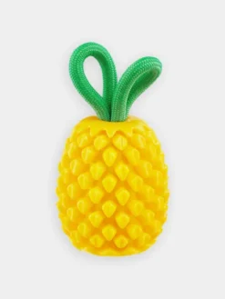 Jouet à remplir pour chien - Ananas 🍍