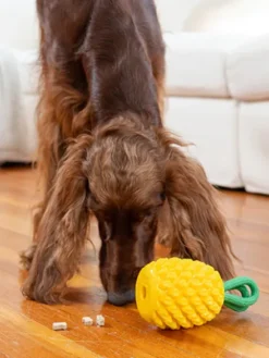Jouet à remplir pour chien - Ananas 🍍