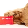 Jouet à remplir pour chien - Pina Cool-ada 🍹 - Fuzzyard