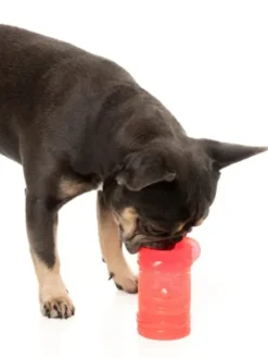 Jouet à remplir pour chien - Pina Cool-ada 🍹 - Fuzzyard
