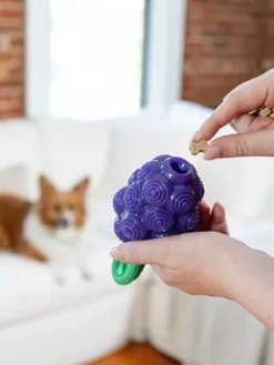 Jouet à remplir pour chien - Raisin 🍇