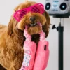 Jouet rétro pour chien - 80's Classic - Téléphone fixe 📞 - Pet PLAY