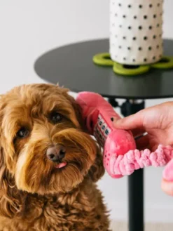 Jouet rétro pour chien - 80's Classic - Téléphone fixe 📞 - Pet PLAY