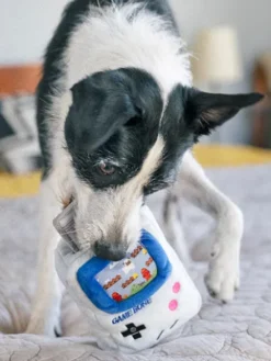 Jouet rétro pour chien - 90's Classic - Game Bone 🎮 - Pet PLAY