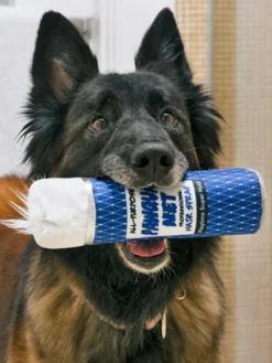 Jouet rétro pour chien - 80's Classic - Hairspray 💇🏽‍♀️ - Pet PLAY