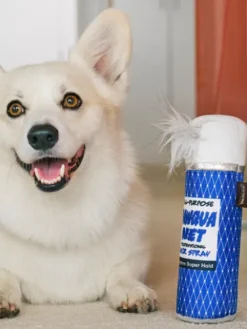 Jouet rétro pour chien - 80's Classic - Hairspray 💇🏽♀️ - Pet PLAY