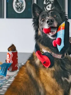 Jouet rétro pour chien - 80's Classic - Joystick 🕹️ - Pet PLAY