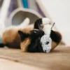 Jouet souris pour chat - Herbe à chat biologique - Pet PLAY