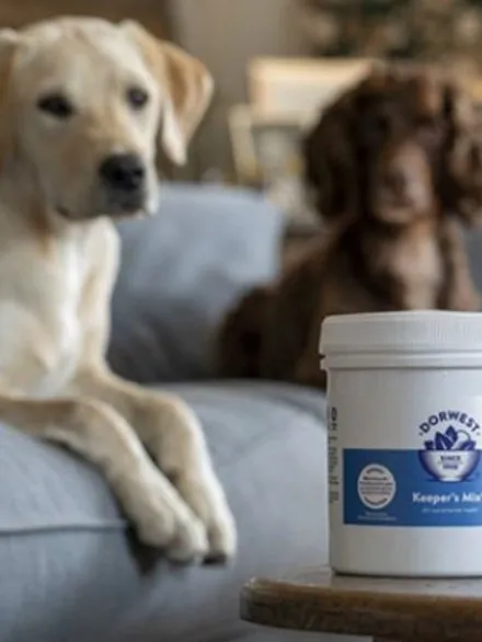 Keeper's Mix Dorwest - Améliore la santé générale pour chien et chat