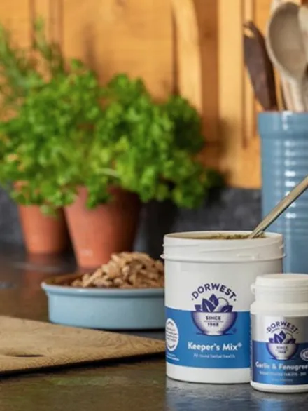 Keeper's Mix Dorwest - Améliore la santé générale pour chien et chat