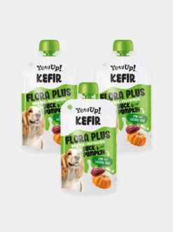 Kéfir à boire pour chien - Canard 🦆 et Citrouille - Yow Up !