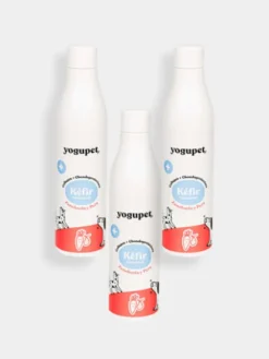 Kéfir pour chien et chat - Carotte et Poire - Yogupet