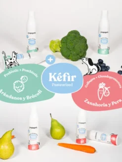 Kéfir pour chien et chat - Myrtille et Brocoli - Yogupet