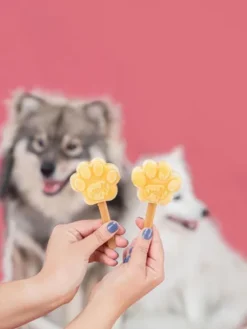 Kit de préparation pour glaces pour chien 🍓 + 🥜 - Petit chien - Smoofl