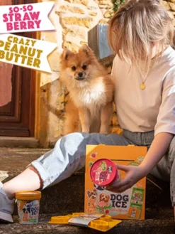 Kit de préparation pour glaces pour chien 🍓 + 🥜 - Petit chien - Smoofl