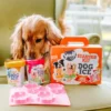 Kit de préparation pour glaces pour chien 🍓 + 🥜 - Chien moyen - Smoofl