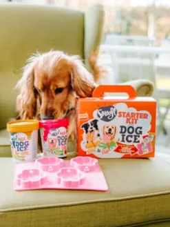 Kit de préparation pour glaces pour chien 🍓 + 🥜 - Chien moyen - Smoofl
