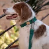 Laisse ajustable multi-position pour chien - Town - Noir