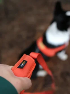 Laisse ajustable multi-position pour chien - Town Cordura - Orange