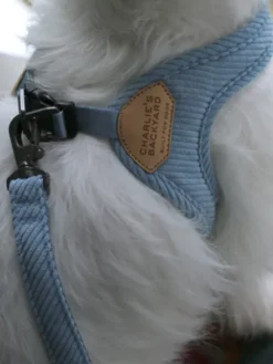 Laisse ajustable pour chien - Roy leash - Baby Blue