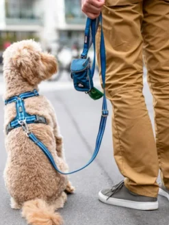 Laisse ajustable pour chien - Urban Freestyle Bleu - Dog Copenhagen