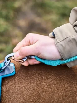 Laisse en corde pour chien - Trekking rope leash (2 coloris) - Non Stop Dogwear