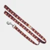 Laisse originale pour chien motif Polar Night - Woolly Wolf