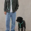 Laisse pour chien mains libres - Velvet Vibes Vert - Zee.Dog