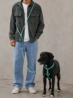 Laisse pour chien mains libres - Velvet Vibes Vert - Zee.Dog