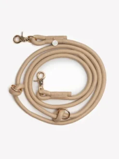 Laisse pour chien 