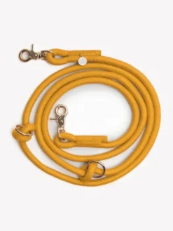 Laisse pour chien 