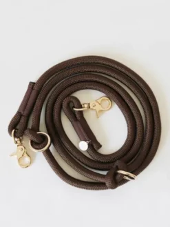 Laisse pour chien 