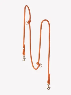 Laisse pour chien 