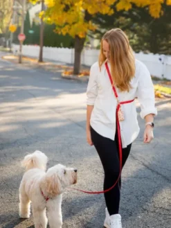 Laisse pour chien multipostions Cloud - Cherry - Shop Sunny Tails