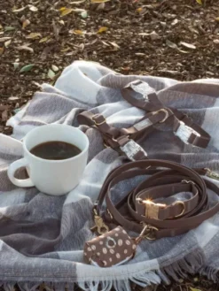 Laisse pour chien multipostions Cloud - Espresso - Shop Sunny Tails