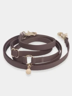 Laisse pour chien multipostions Cloud - Espresso - Shop Sunny Tails