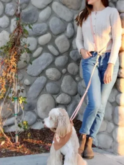 Laisse pour chien multipostions Cloud - Mûre - Shop Sunny Tails