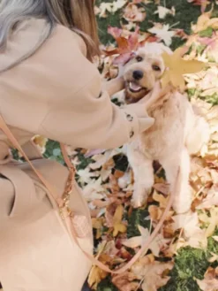 Laisse pour chien multipostions Cloud - Chai - Shop Sunny Tails