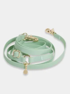 Laisse pour chien multipostions Cloud - Pistache - Shop Sunny Tails