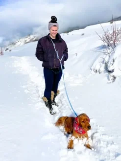 Laisse pour chien multipostions Cloud - Vert forêt - Shop Sunny Tails