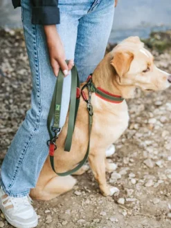 Laisse pour chien 3 positions en Biothane - Havana army - Hunter