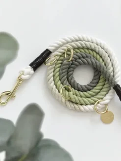 Laisse pour chien réglable en corde de coton - Vert Pistache - Cocopup London