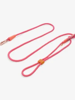 Laisse pour chien réglable et mains libres - Gazelle - Zee.Dog