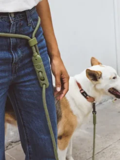 Laisse pour chien réglable et mains libres - Army Green - Zee.Dog