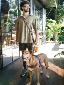 Laisse pour chien réglable et mains libres - Naturals Cacao - Zee.Dog