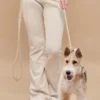 Laisse pour chien Rover leash - Dunes - Pups & Bubs