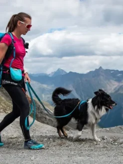 Laisse pour chien sportif - Touring Bungee Teal édition - Non-Stop Dogwear