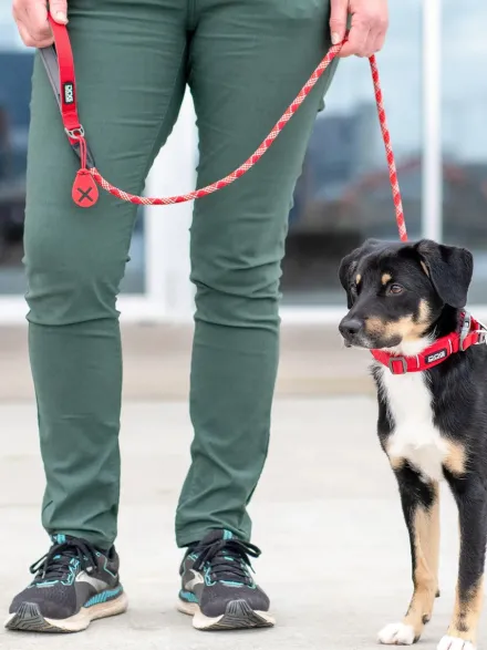 Laisse pour chien - Urban Rope Rouge - Dog Copenhagen
