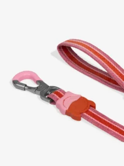 Laisse pour chien - Velvet Vibes Courtney - Zee.Dog